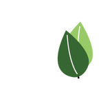 Timbertek Technology