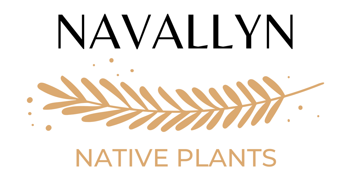 Navallyn Native Plants