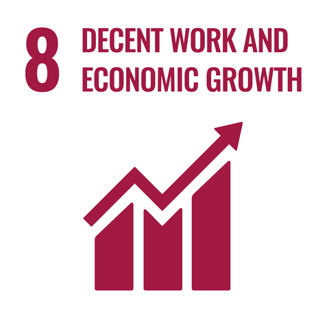 United Nations 8th Sustainable Development Goal Image