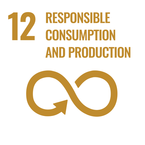 United Nations 12th Sustainable Development Goal Image