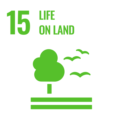 United Nations 15th Sustainable Development Goal image