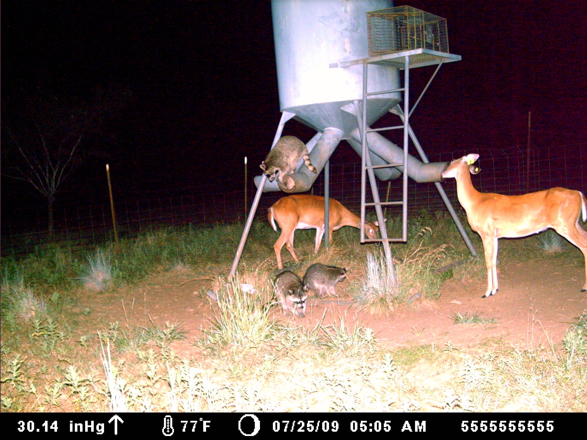 Outback Wildlife Feeders