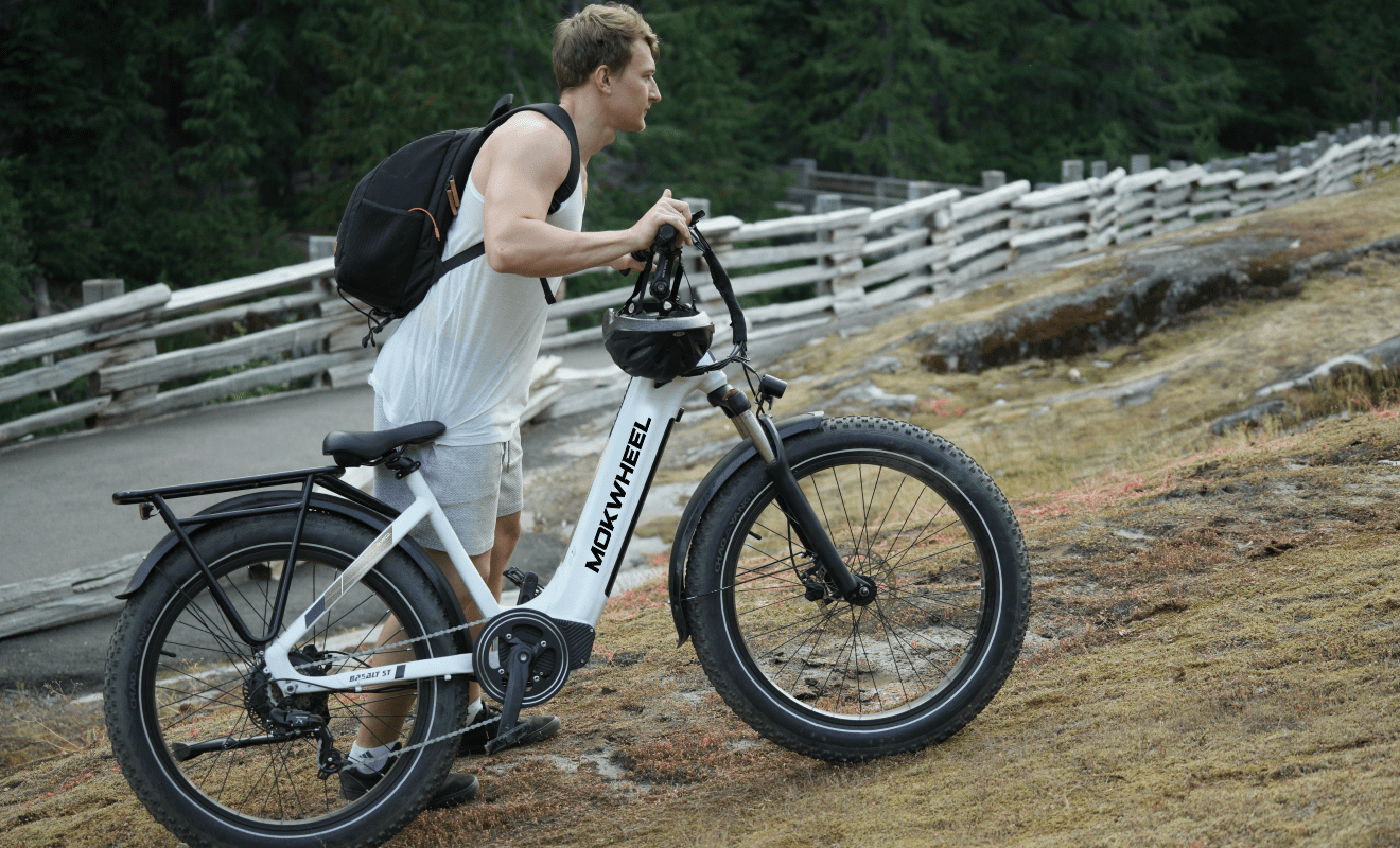 Mokwheel Basalt ST - fat tire step through electric bike for adults