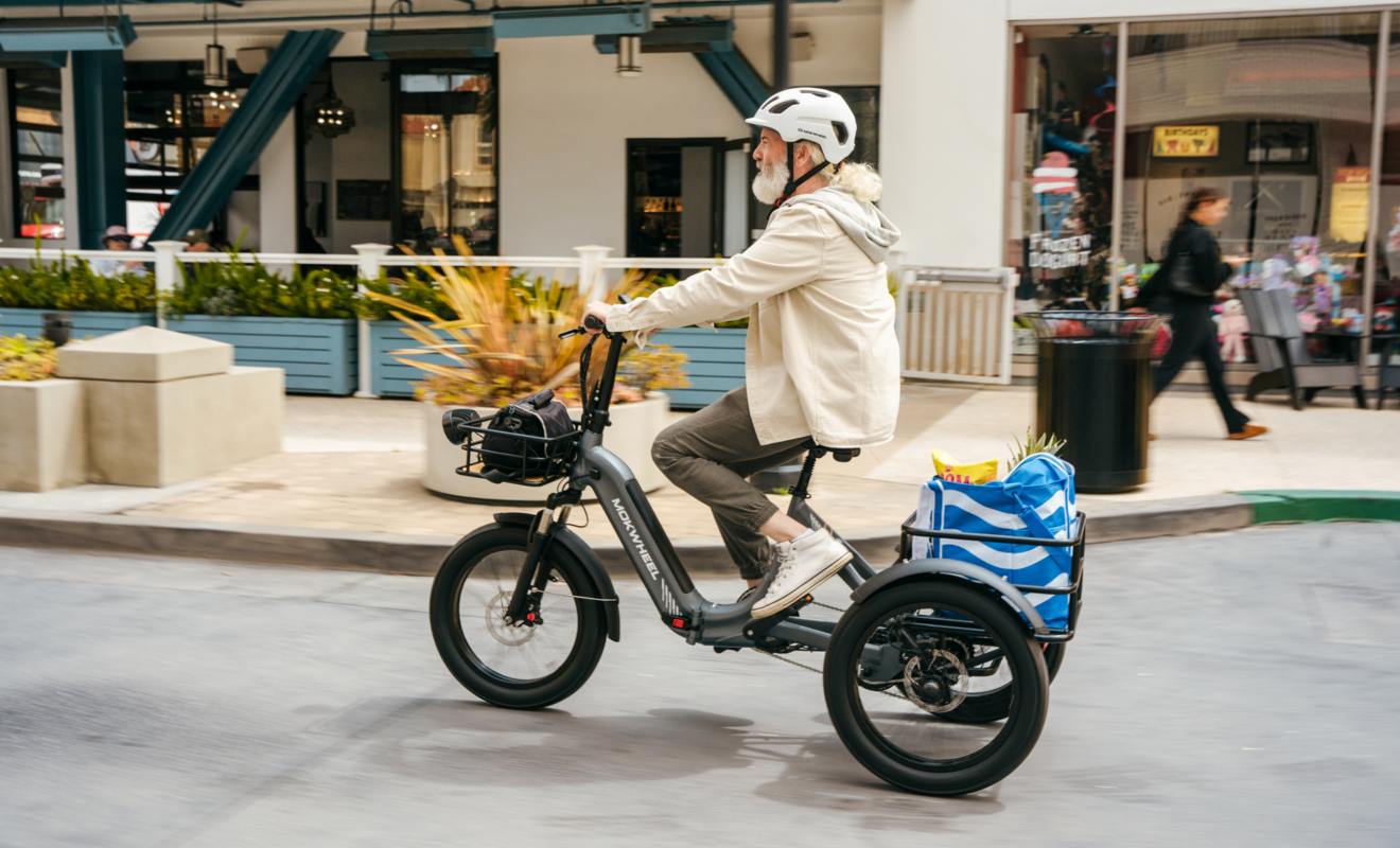 Mokwheel Granite - electric fat tire tricycle for adults