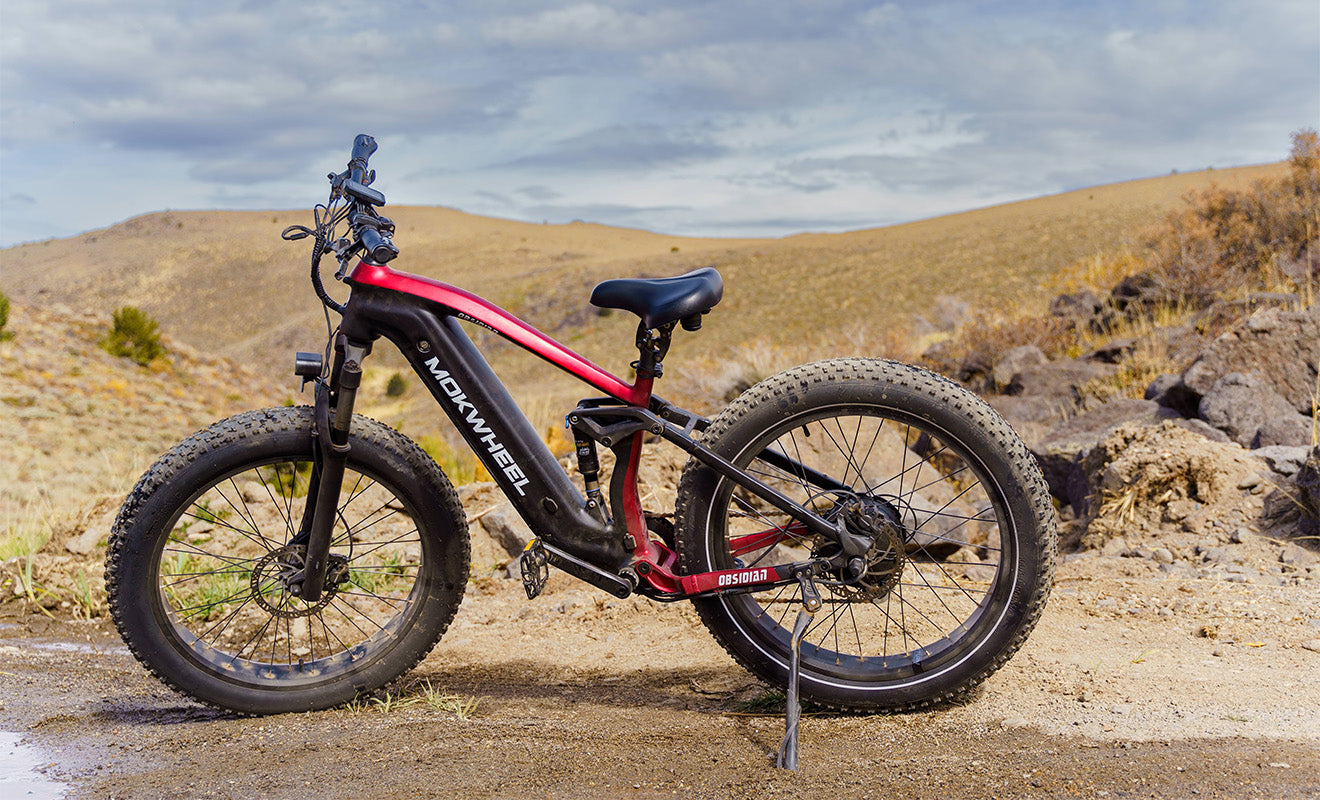 Mokwheel Obsidian-best long range electric mountain bike