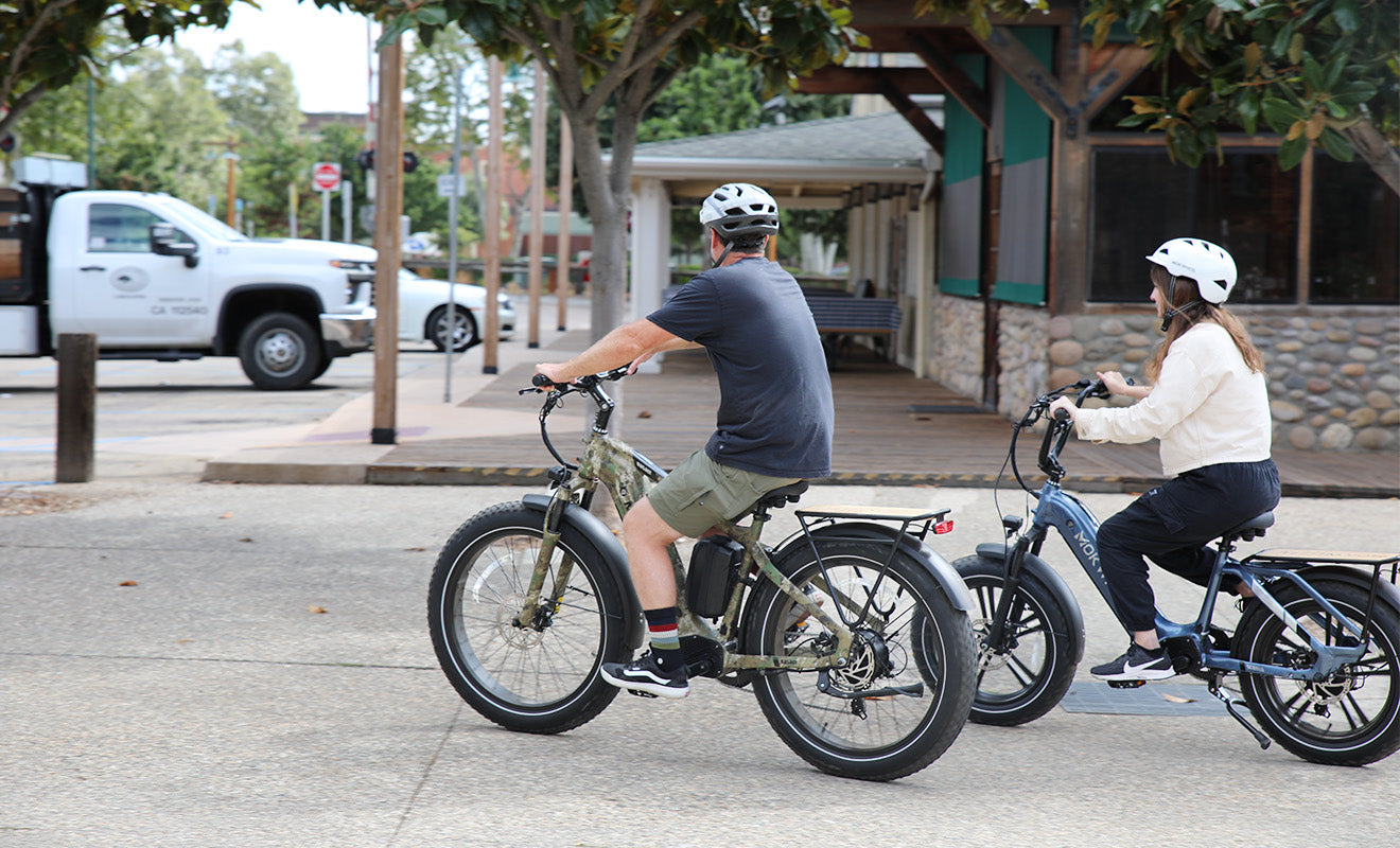 Mokwheel Basalt - long range electric off road bike