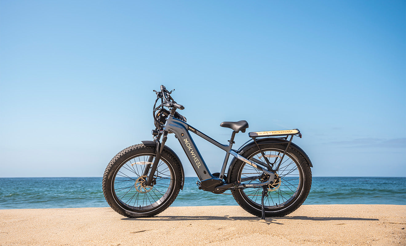 Mokwheel Basalt: The Electric Bike Solution