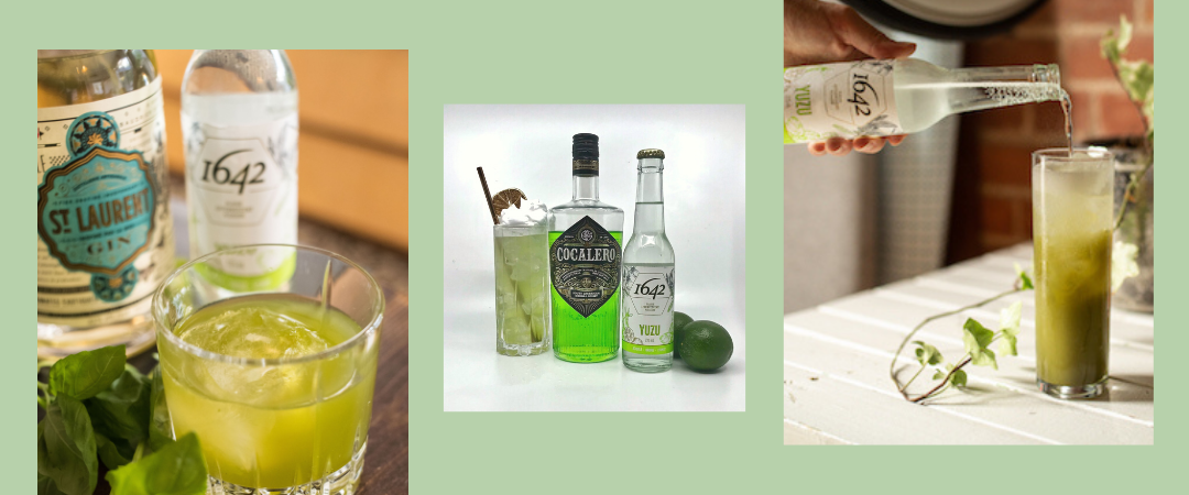 Nos meilleurs cocktails verts pour la Saint-Patrick