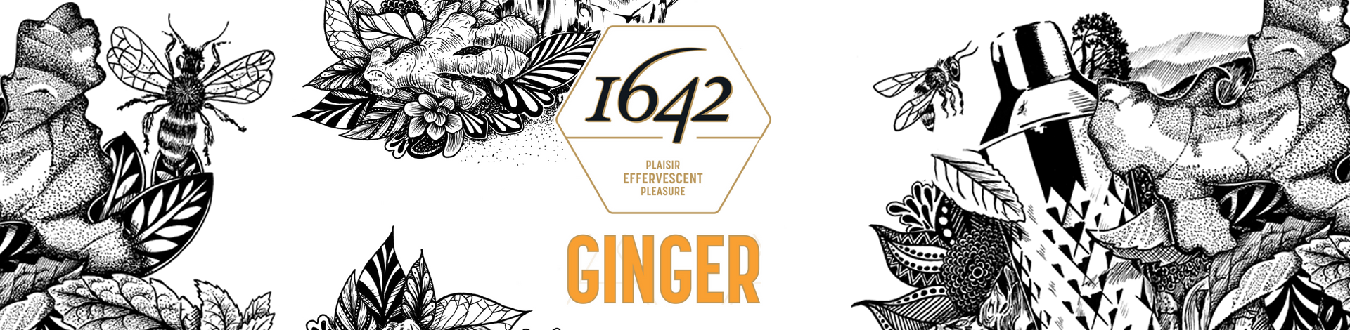 Ginger beer 1642