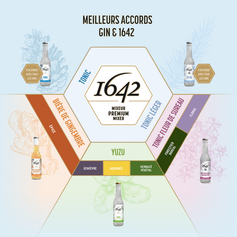 Meilleurs accords gin & 1642