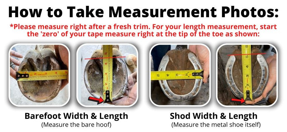2022-Hoof-Measurement-Image-for-website-LOWER-RES-2.jpg__PID:7425a152-e0b1-43d9-9e56-5036e9d64273
