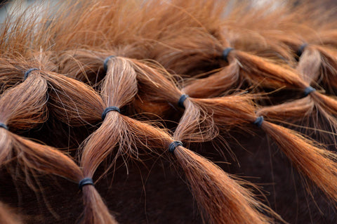 Horse Hairstyle | TikTok