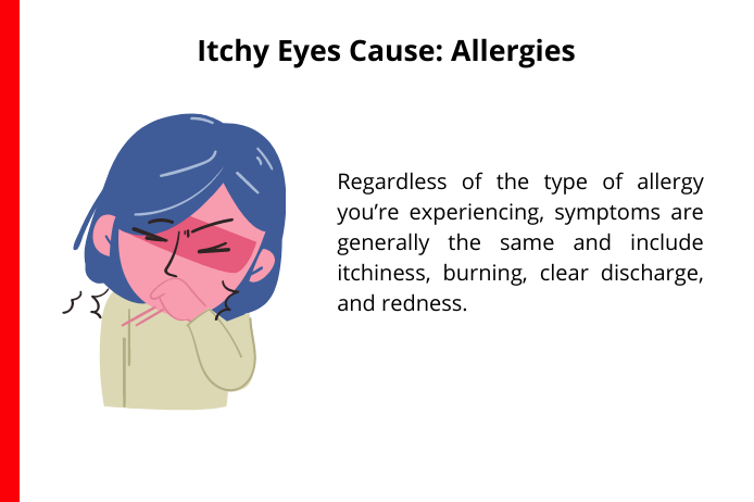 allergies as a common cause of itchy eyes