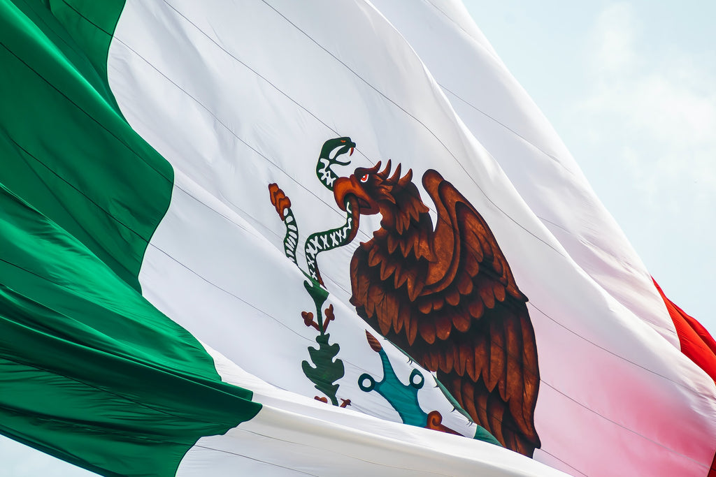 Mexican Flag