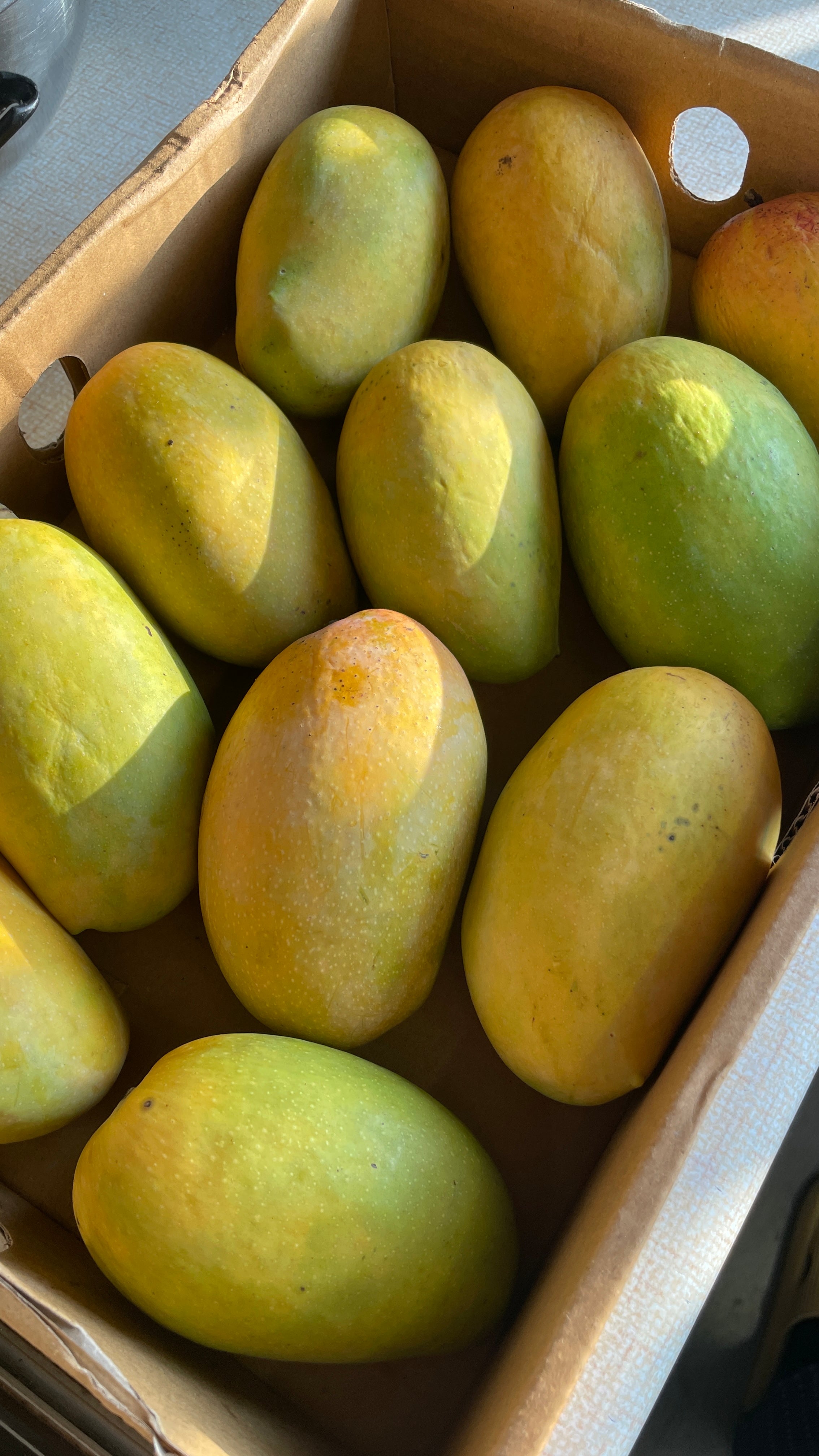 open box of mangoes