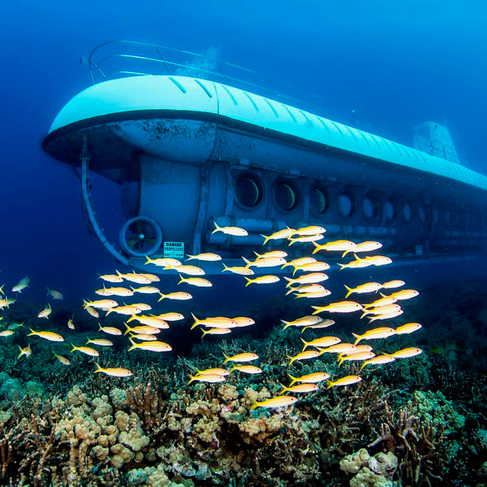 SUBMARINO ATLANTIS COZUMEL – Lifeisvacation Mexico