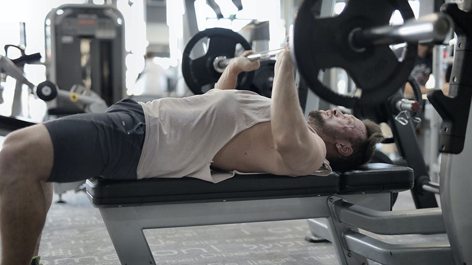 Bench press workout in the gym