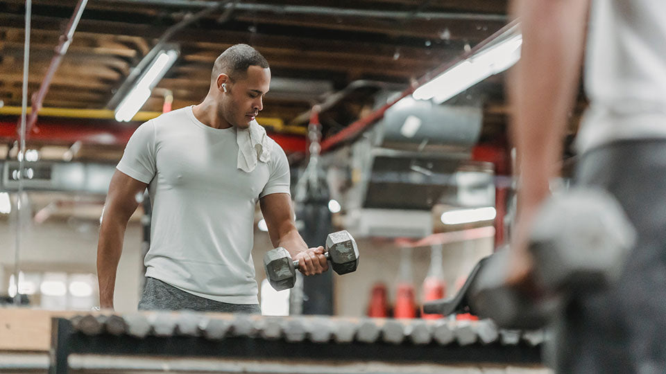 Bicep curls in the gym