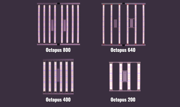 Octopus Series LED grow lights