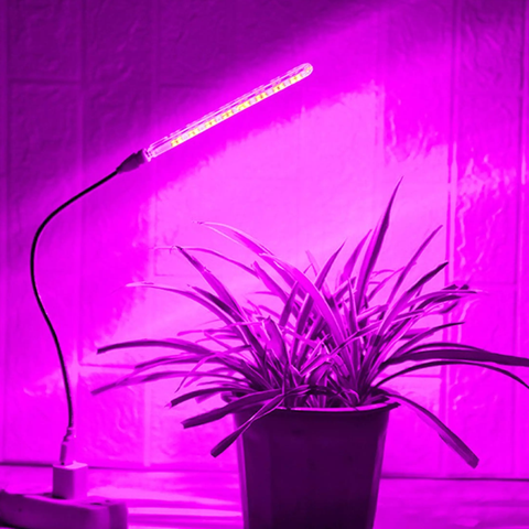 Best grow lights for marijuana