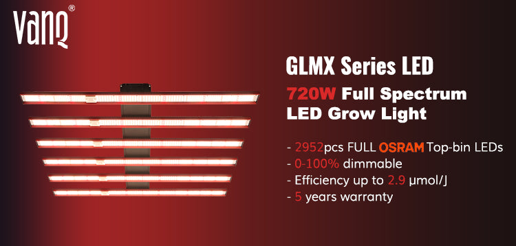 GLMX720C