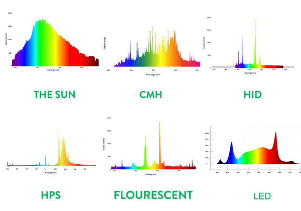 spectrum