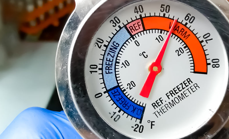 Catering Thermometers