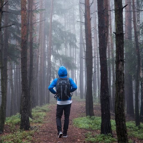 Walking in the woods - Mental health