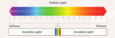 PAR Spectrum of light