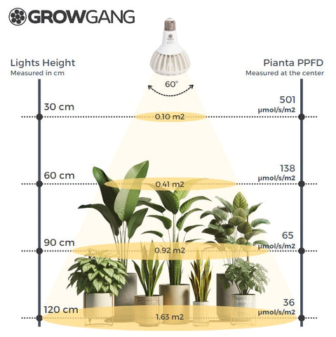 PPFD Graph. 501 at 30cm, 138 at 60cm, 65 at 90cm, 36 at 120cm