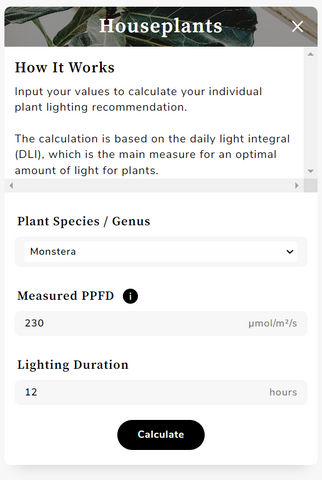 Screenshot of the calculator