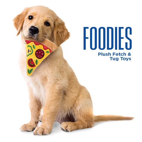 Dog with a plush pizza toy in its mouth with text on the side that says "Foodies"