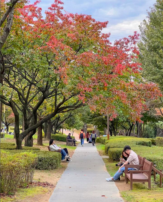 People sitting on benches along a trail in Seonyudo Park under leaves turning red