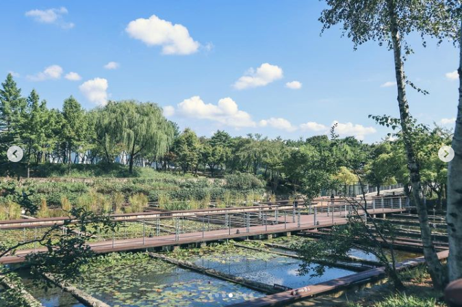 Seonyudo Park trail over ponds