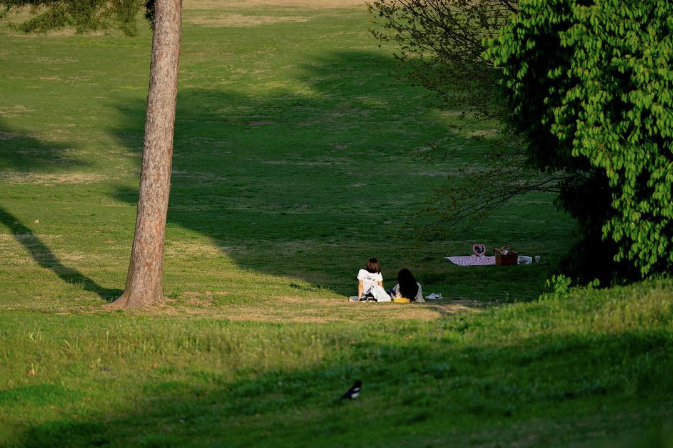 A couple sitting in the shade on a grassy area of Olympic Park, Seoul