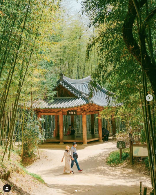 A couple walking in front of a gazebo in Juknokwon Bamboo Forest