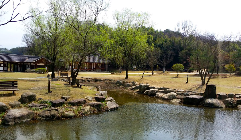 Picnic area in Juknokwon Bamboo Forest