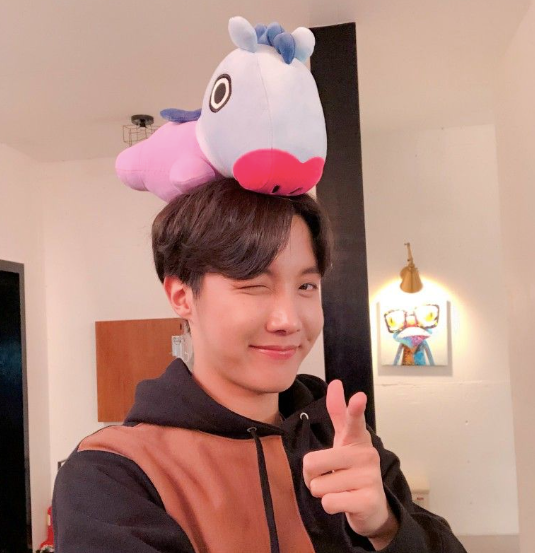 Jhope with MANG plushy