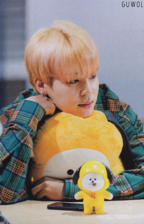 Jimin with CHIMMY big and small plushies