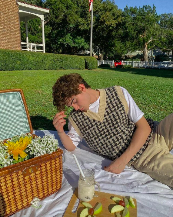 A young man wearing a brown and black vest on a picnic blanket