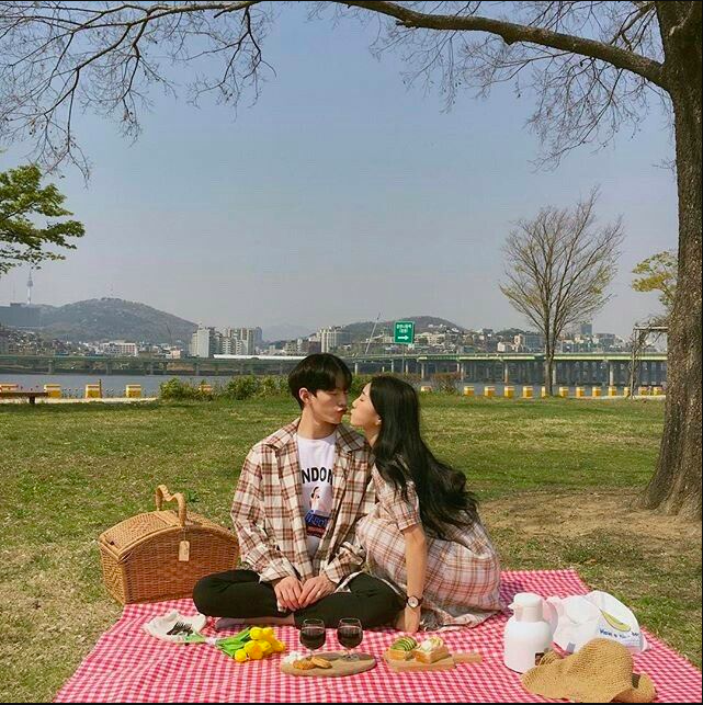 A cute couple wearing plaid leaning in for a kiss at a park during a picnic