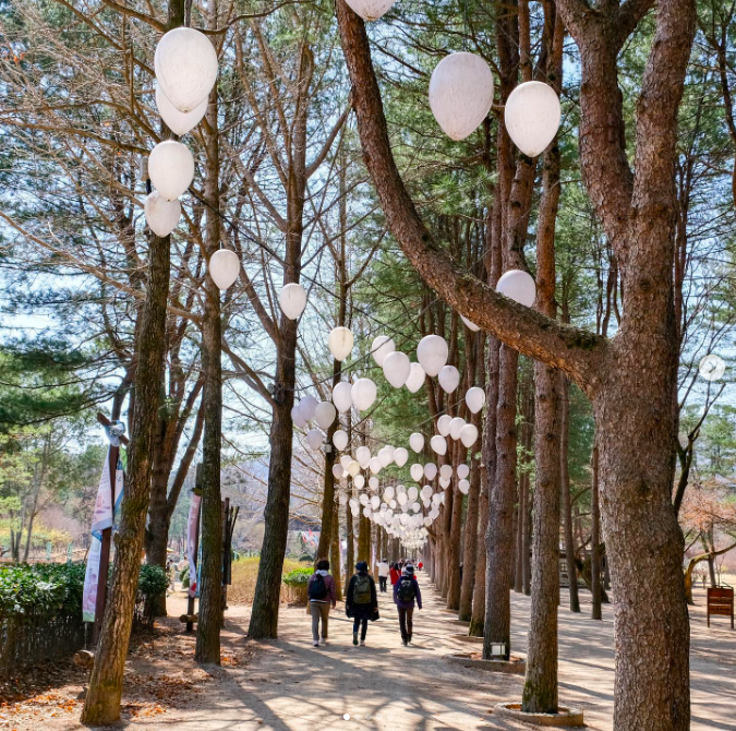 A tree-lined lane with white balloons and lanterns overhead and people in the background