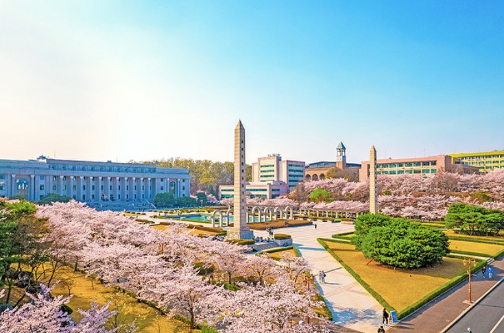 Kyung Hee University with pink cherry trees