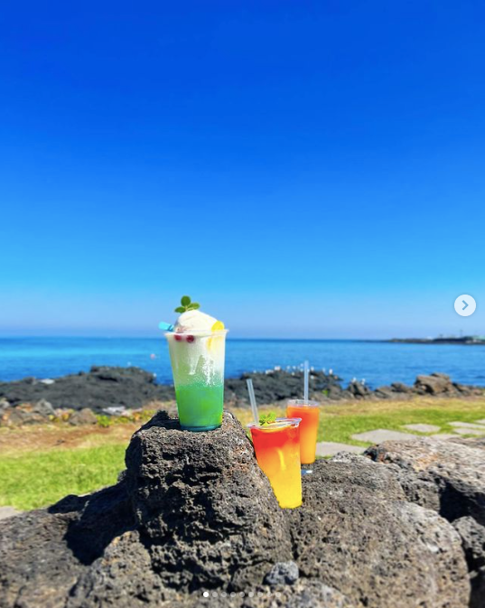 A blue-ish ade and a yellow-orange ade on a rock overlooking the beach