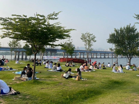 Picnic by the Han River