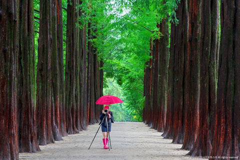 Nami Island