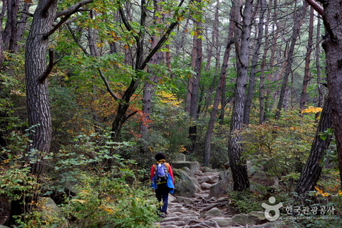 Gyeongju's Namsan Mountain