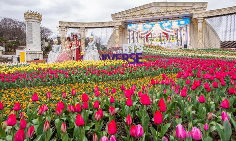 Everland Tulip Festival