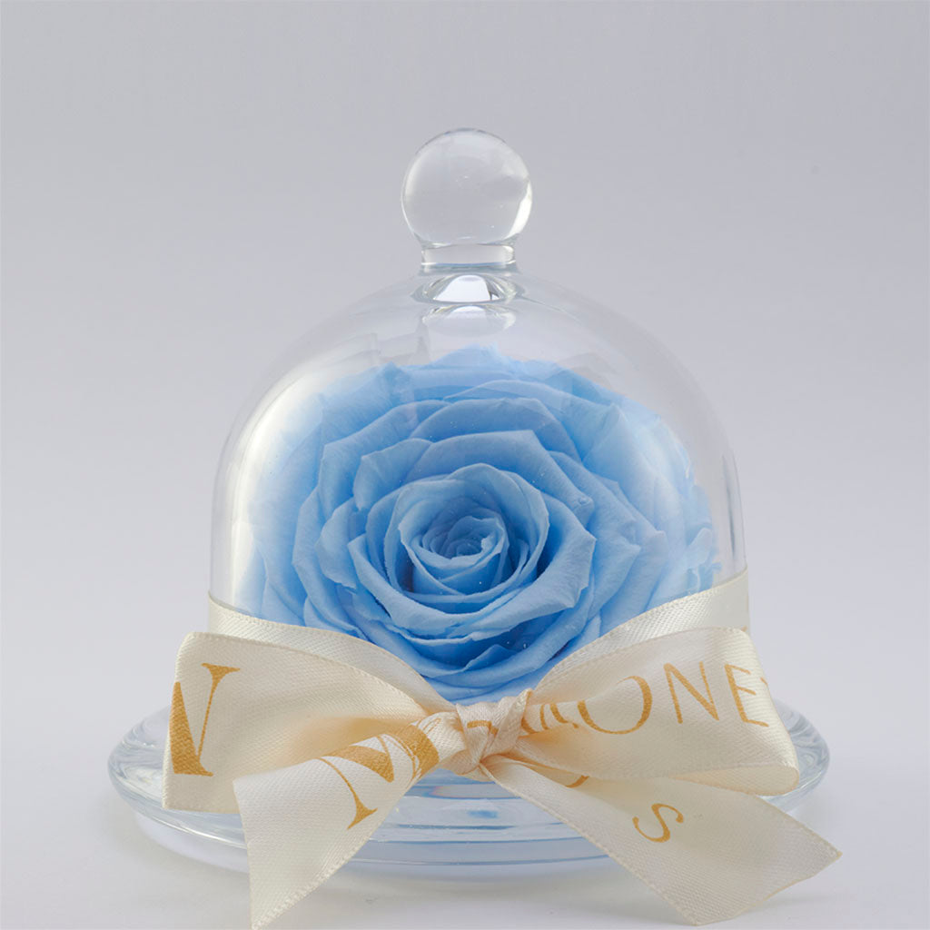 Mini Cinderella: Capelo de cristal con rosa eterna Azul