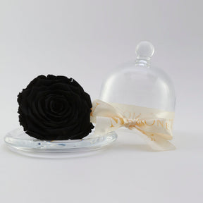 Mini Cinderella: Capelo de cristal con rosa eterna Negra